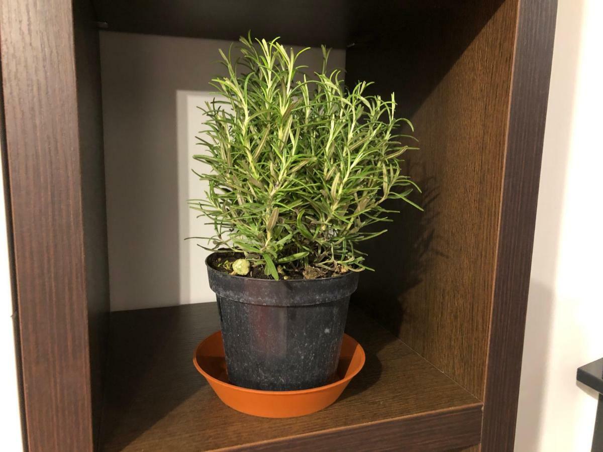 Appartement L'ancora Luxury Genua